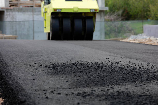Best Brick Driveway Pavers  in Bithlo, FL